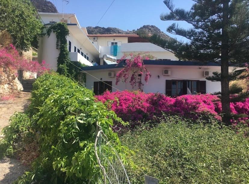 Apartament Garden House Khóra Sfakíon Zewnętrze zdjęcie